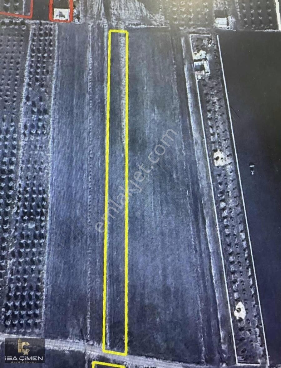 Şahinbey Bozca Mahallesin De 2 Başı Resmi Yol Bagevlık Yer