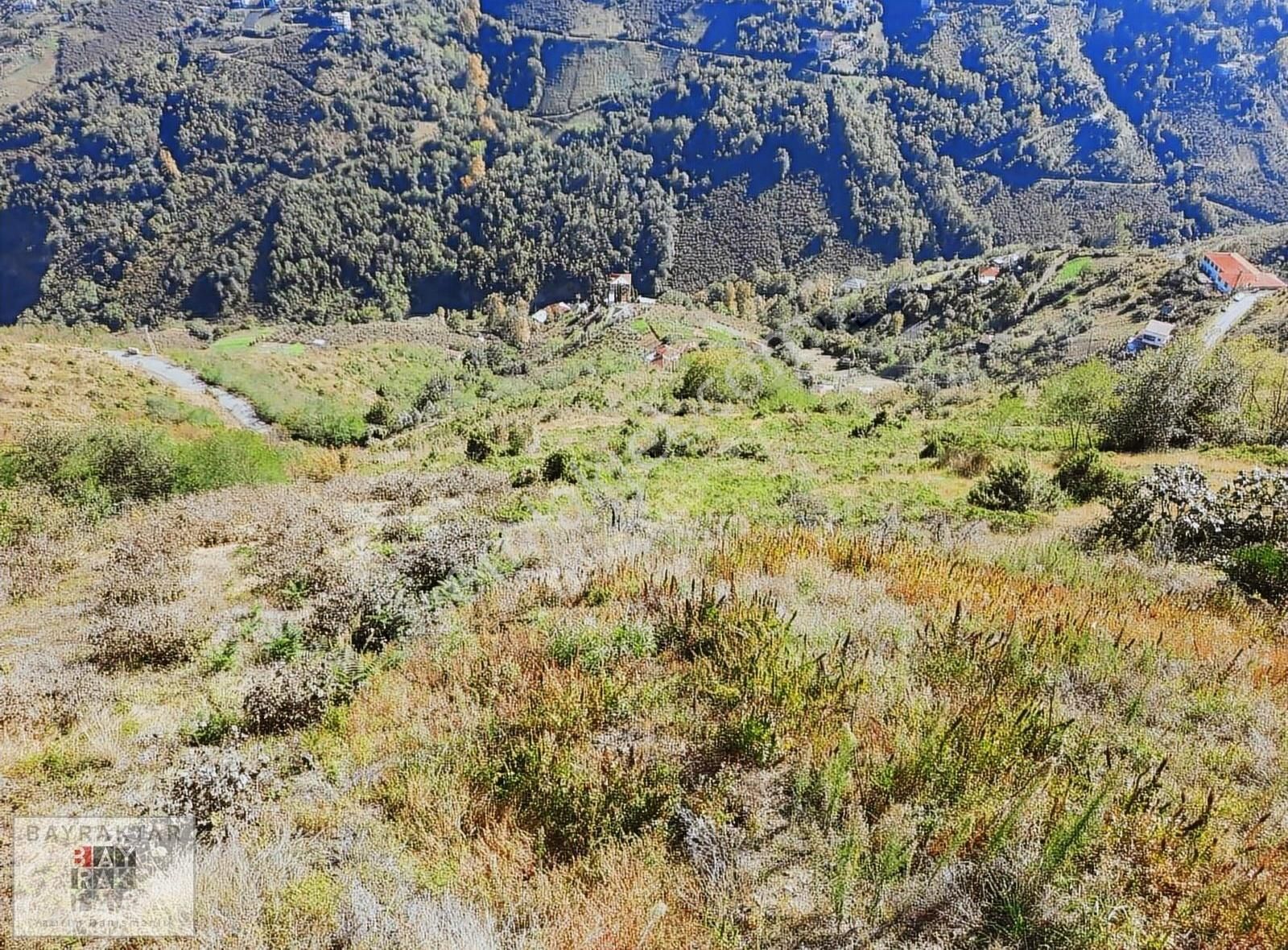 Kaleönü Aylıya Altı Akçaabat Satılık 1560 M2 Fırsat Arsa...