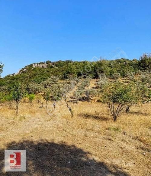 Kızılüzüm'de 1494m2 Satılık Bahçe