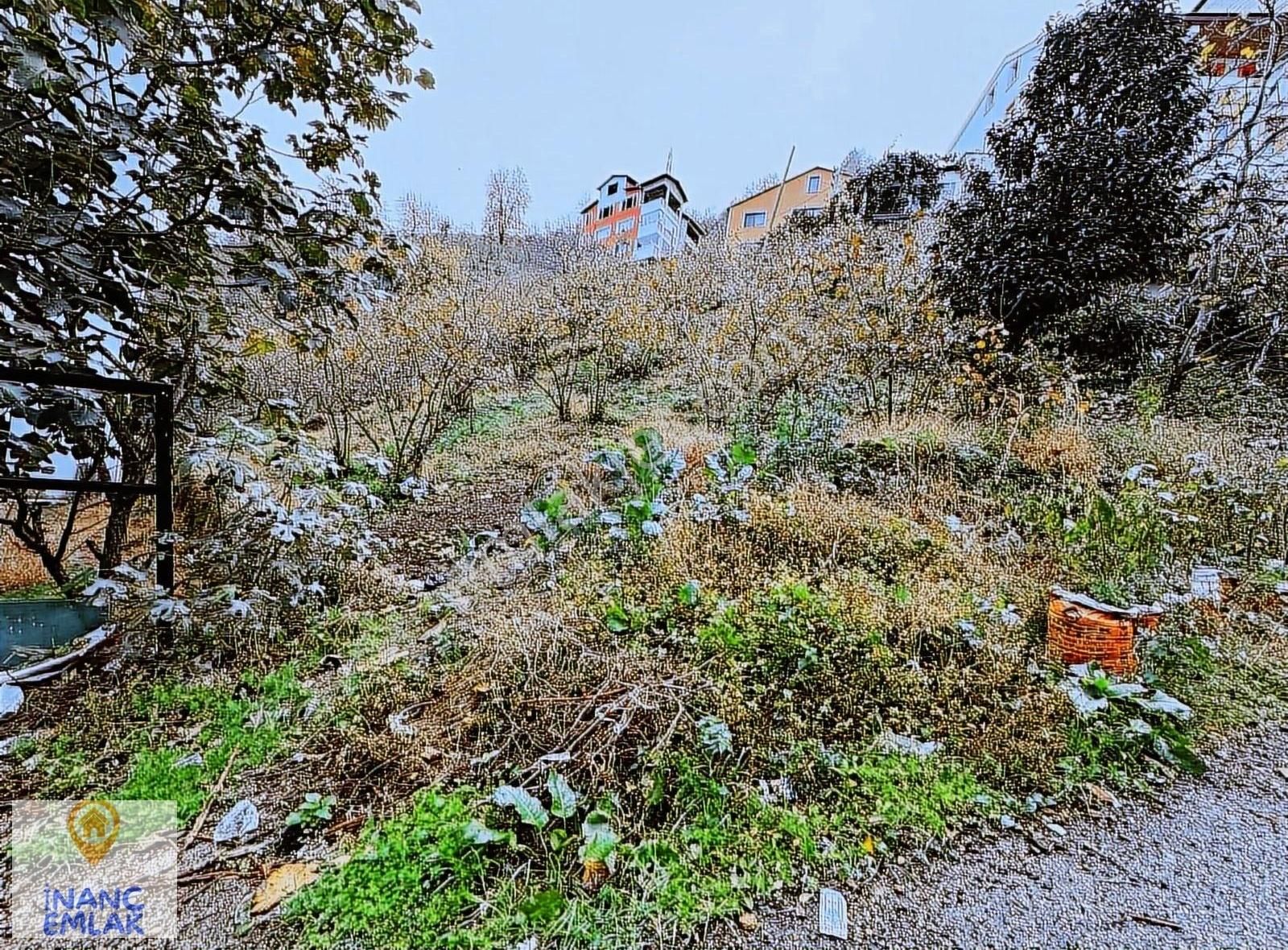 Acil Satılık İnanç Emlaktan Teyyaredüzü Mah. 478 M2 İmarlı Arsa