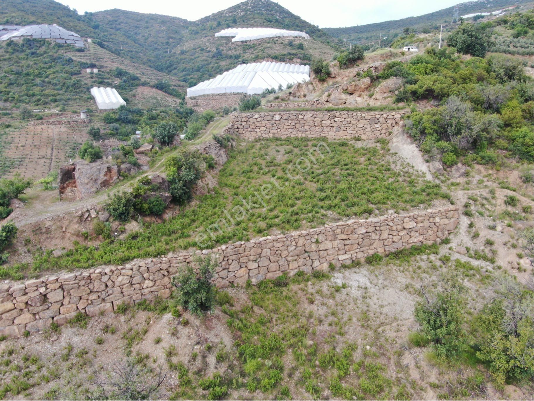 Alanya Güney Mah. Hafriyatı Yapılmış Satılık 9.500 M2tarla