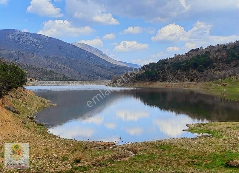 Göl Kenarı Doğa Harikası Ahşap Ev Ve Muhteşem Arazisi