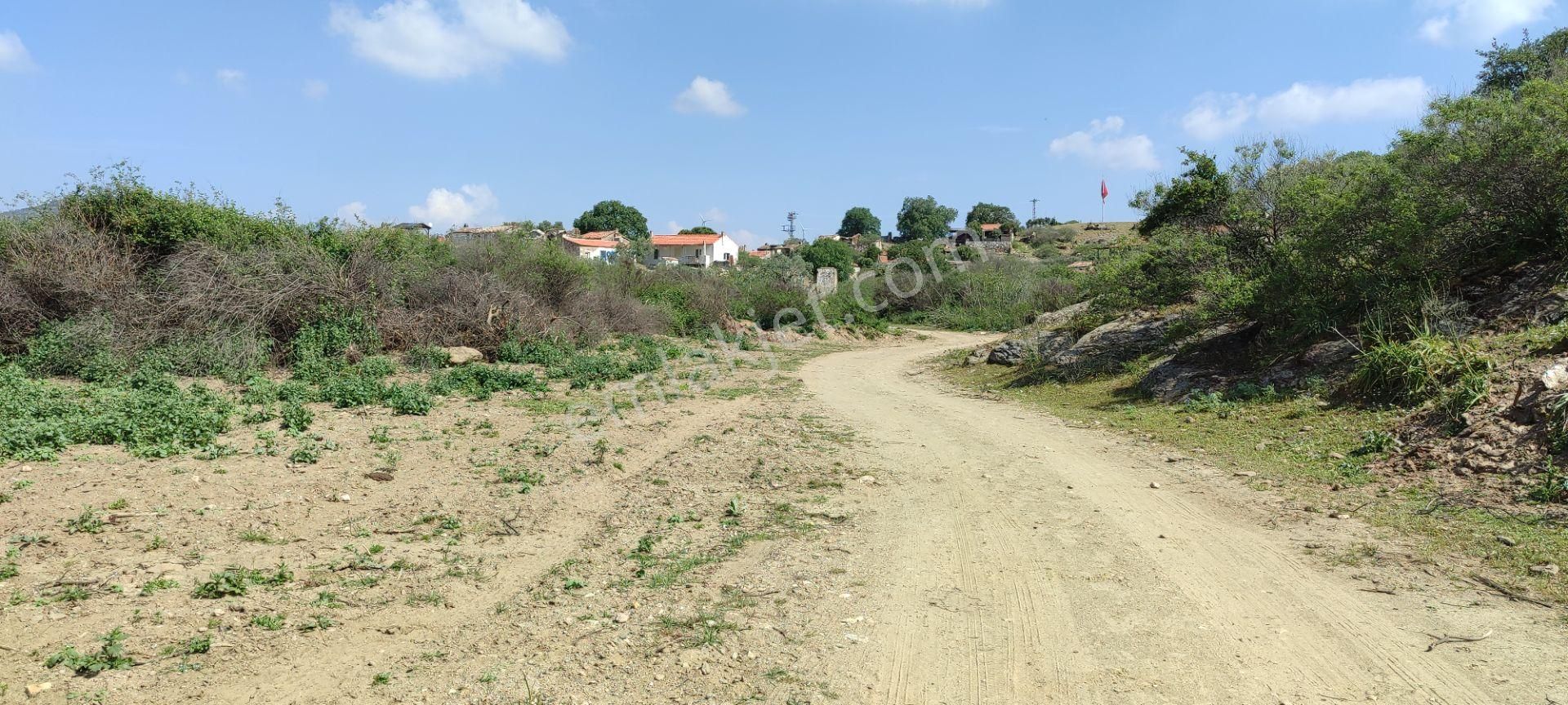 Bafa Gölü Ne Sıfır 114m² Hobi Bahçesi