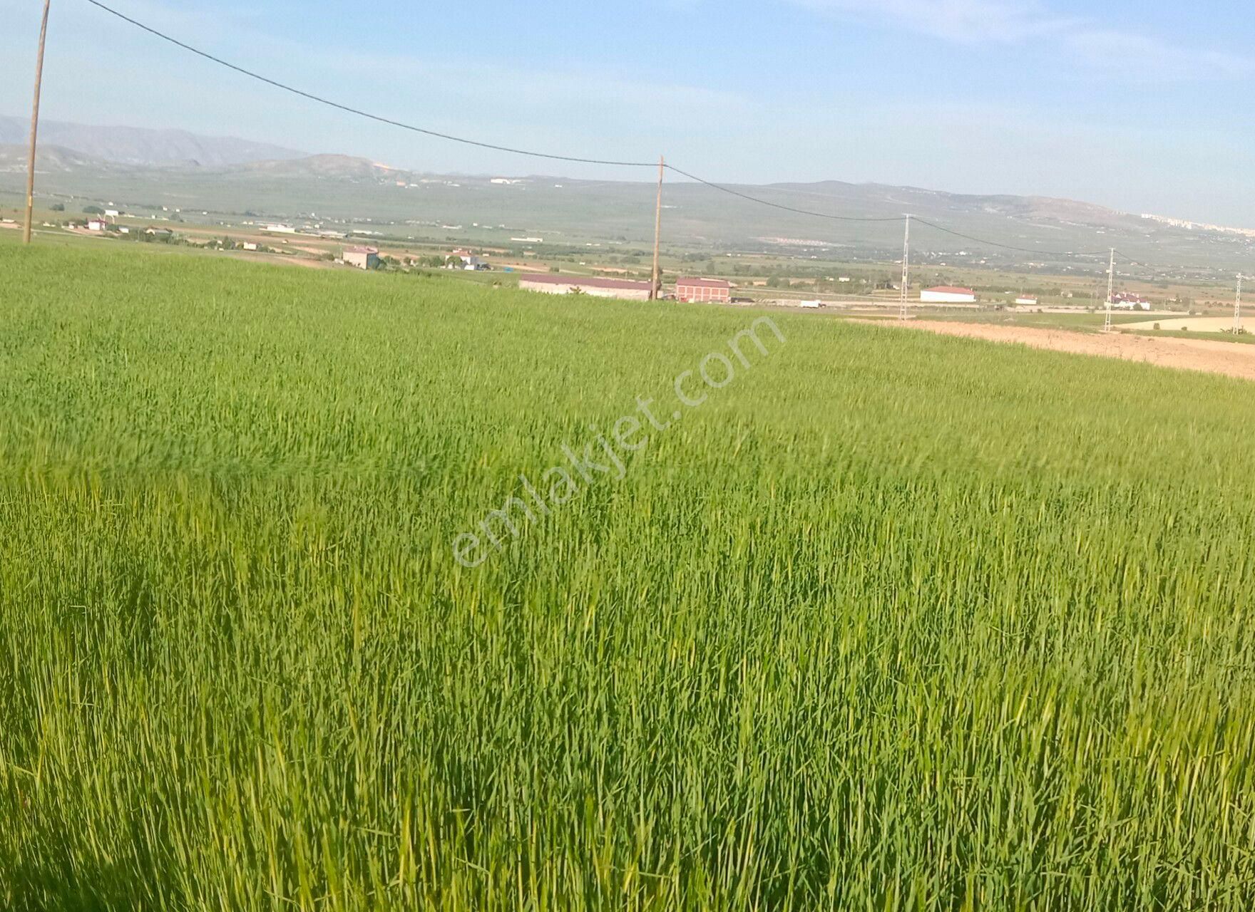 Satılık Tarla