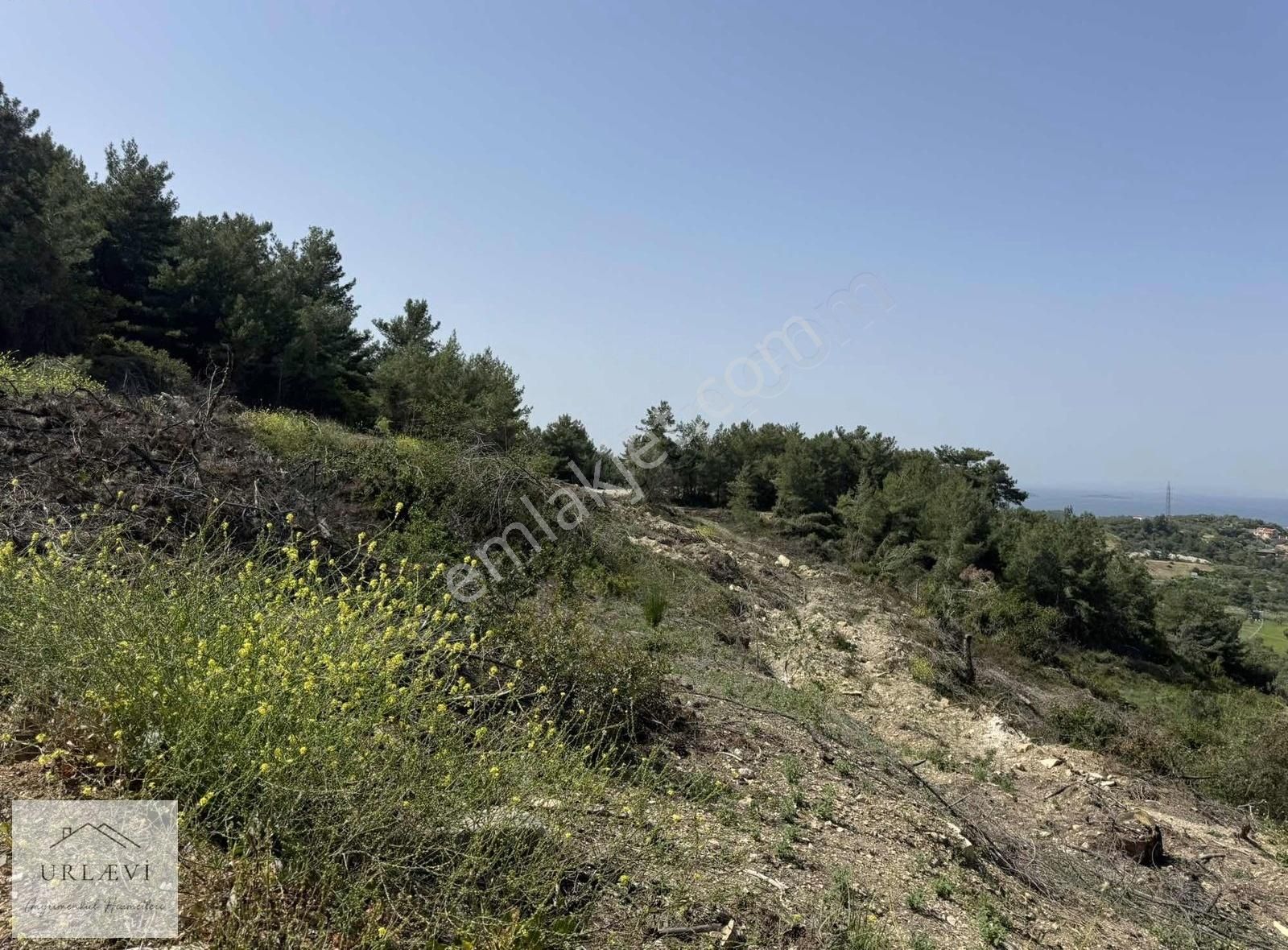 Urla Yenicede Satılık 140 M2 Tarla