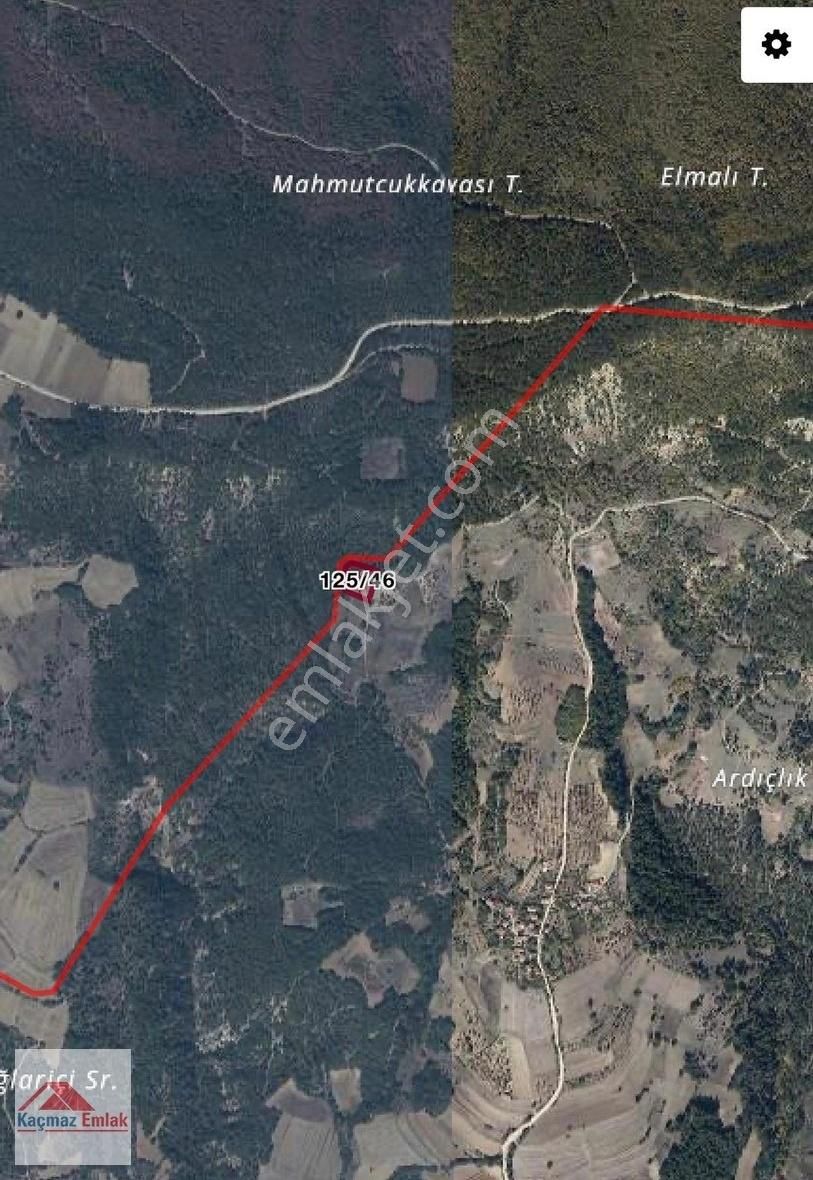 Bilecik Gölpazarı'nda Çok Amaçlı 3116 M2 Satılık Tarla