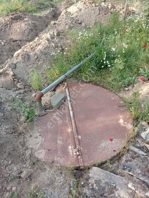 Karacasu Yenice Anayola Yakın Zeytinlik 23.195 M2 - Görsel 15