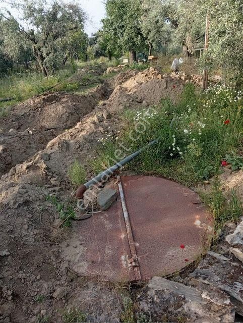 Karacasu Yenice Anayola Yakın Zeytinlik 23.195 M2 - Görsel 10
