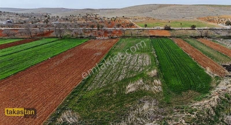 Suboğazı Asfaltüstü Tek Tapu Elektrik Yanı Yakınında Bağevleri