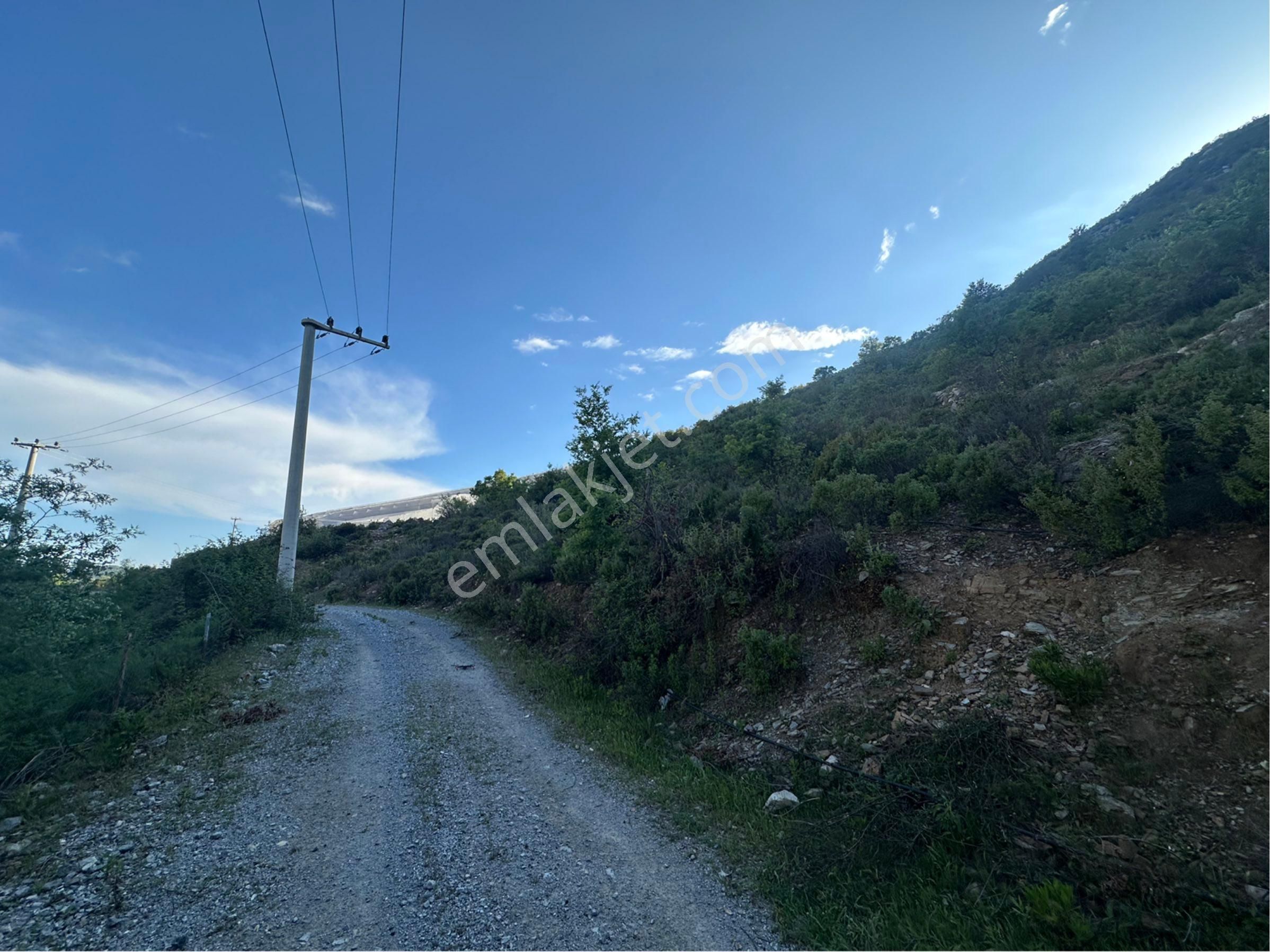 Alanya Güney Mah. Satılık 10.500m2 Tarla