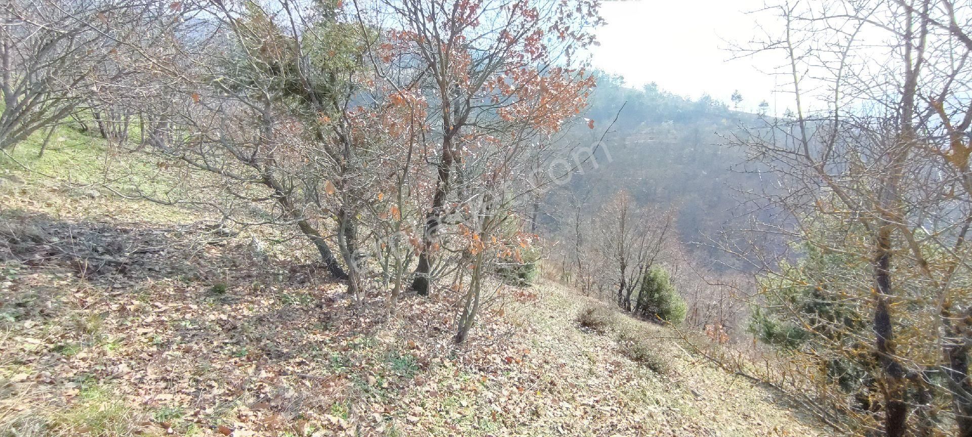 Bursa, Orhaneli Göynükbelende Satılık 1117 M2 Tarla