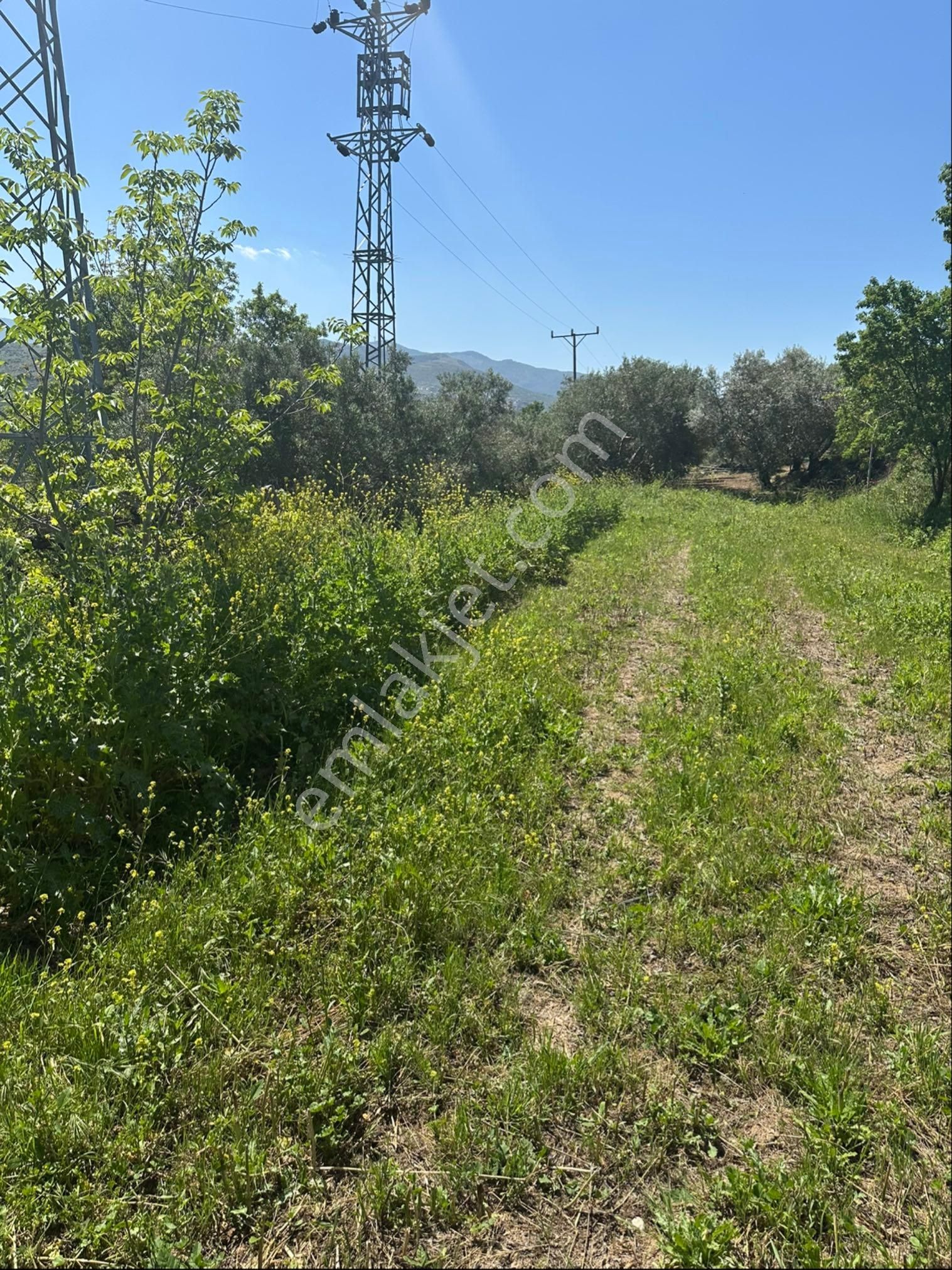 Acil Satılık