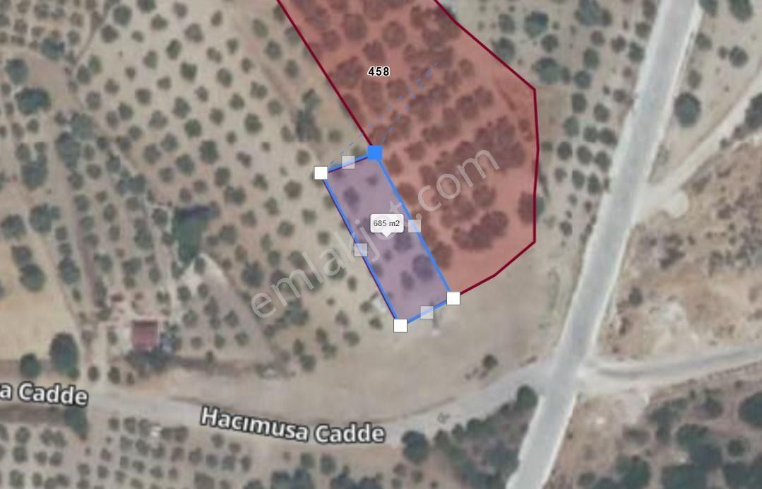Hacımusa Da 687 M2 Zeytinlik , Önü Park - Görsel 20