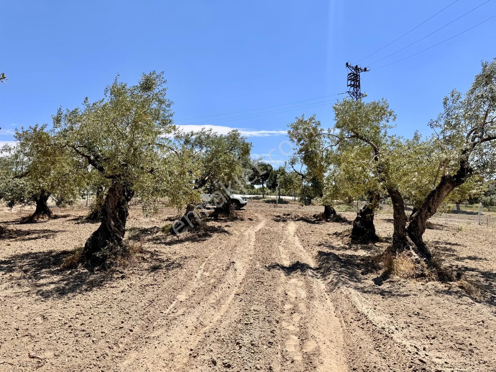 Hacımusa Da 687 M2 Zeytinlik , Önü Park - Görsel 15