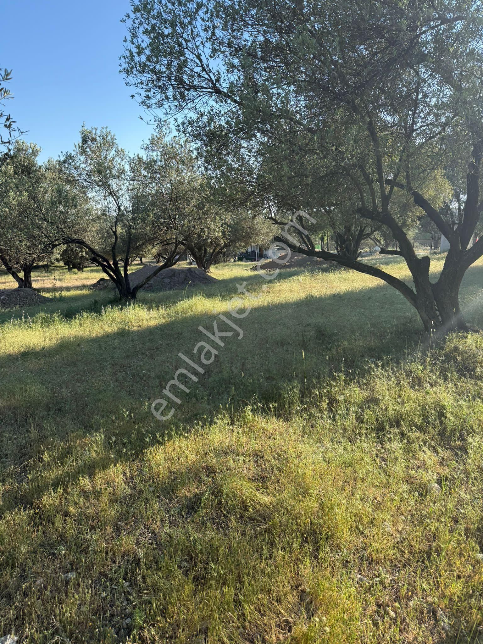 Foça Ilıpınarda Emsalsiz Satılık 210m2 Tarla