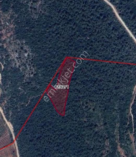 Satılık Tarla 6.436 M