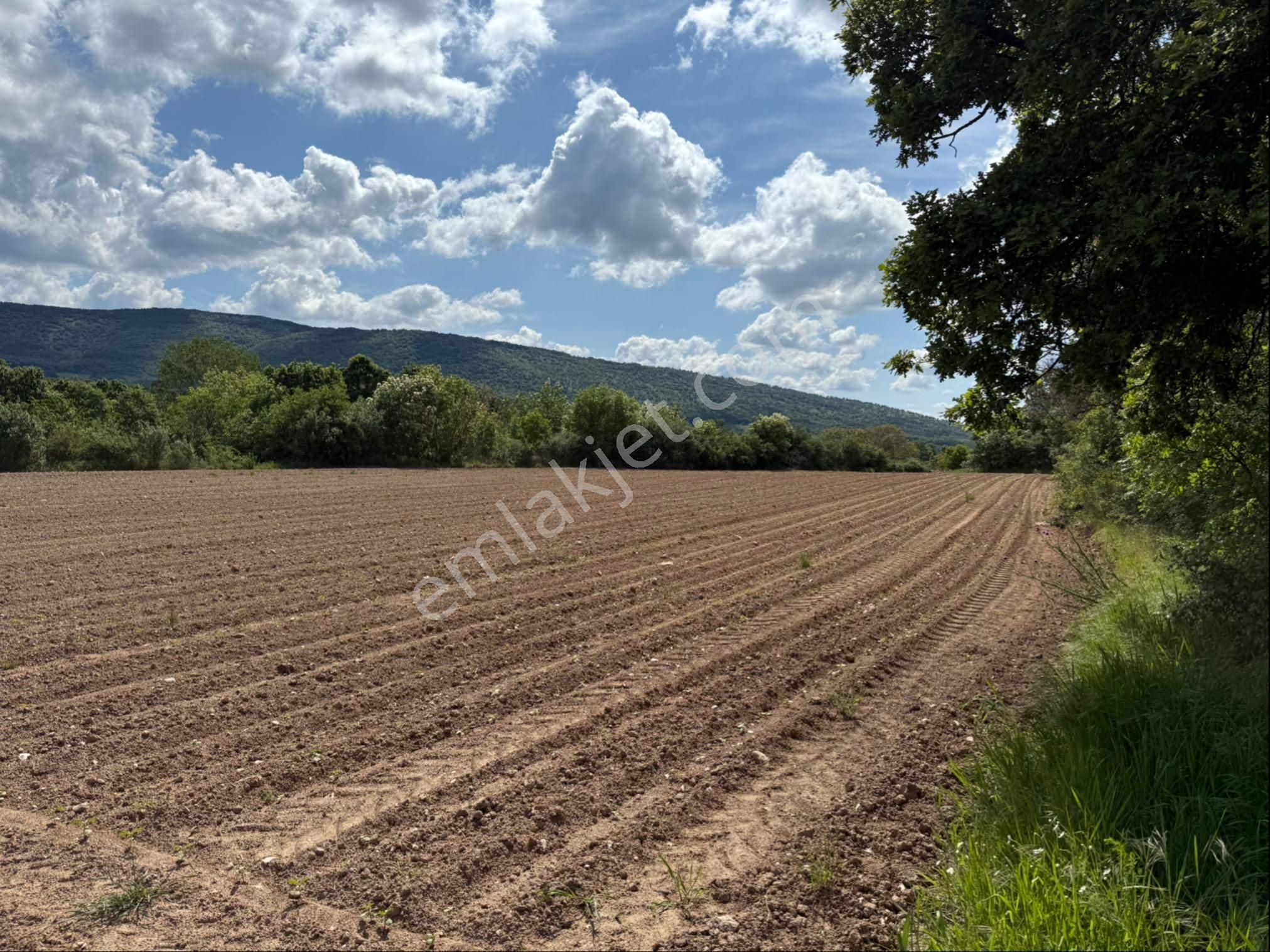 Kırklarelinde Longoz Ormanları Ve Istranca Dağları Eteğinde Harika Bir Yer