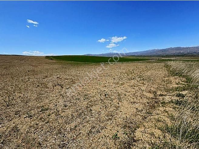 Bayburtta Satılık Arazi