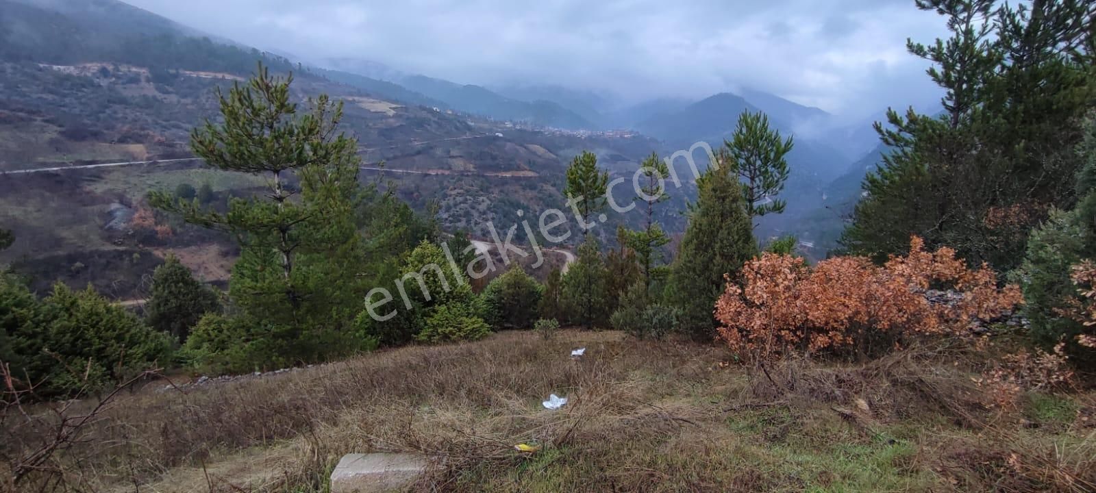 Bursa Keles Gelemiç'te Satılık 1016 M² Tarla