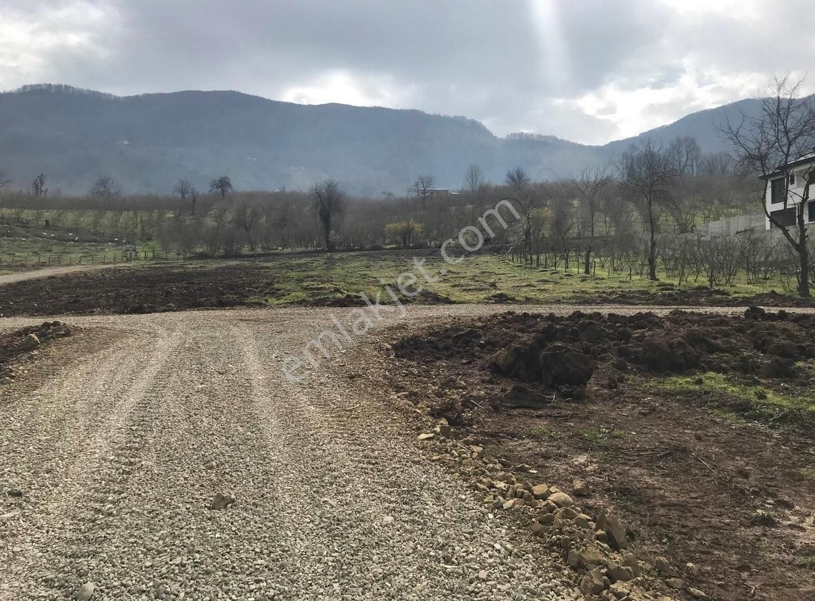 Düzce Eski Emlaktan Düzce Gölormanı Köyünde 500m2 Arsa