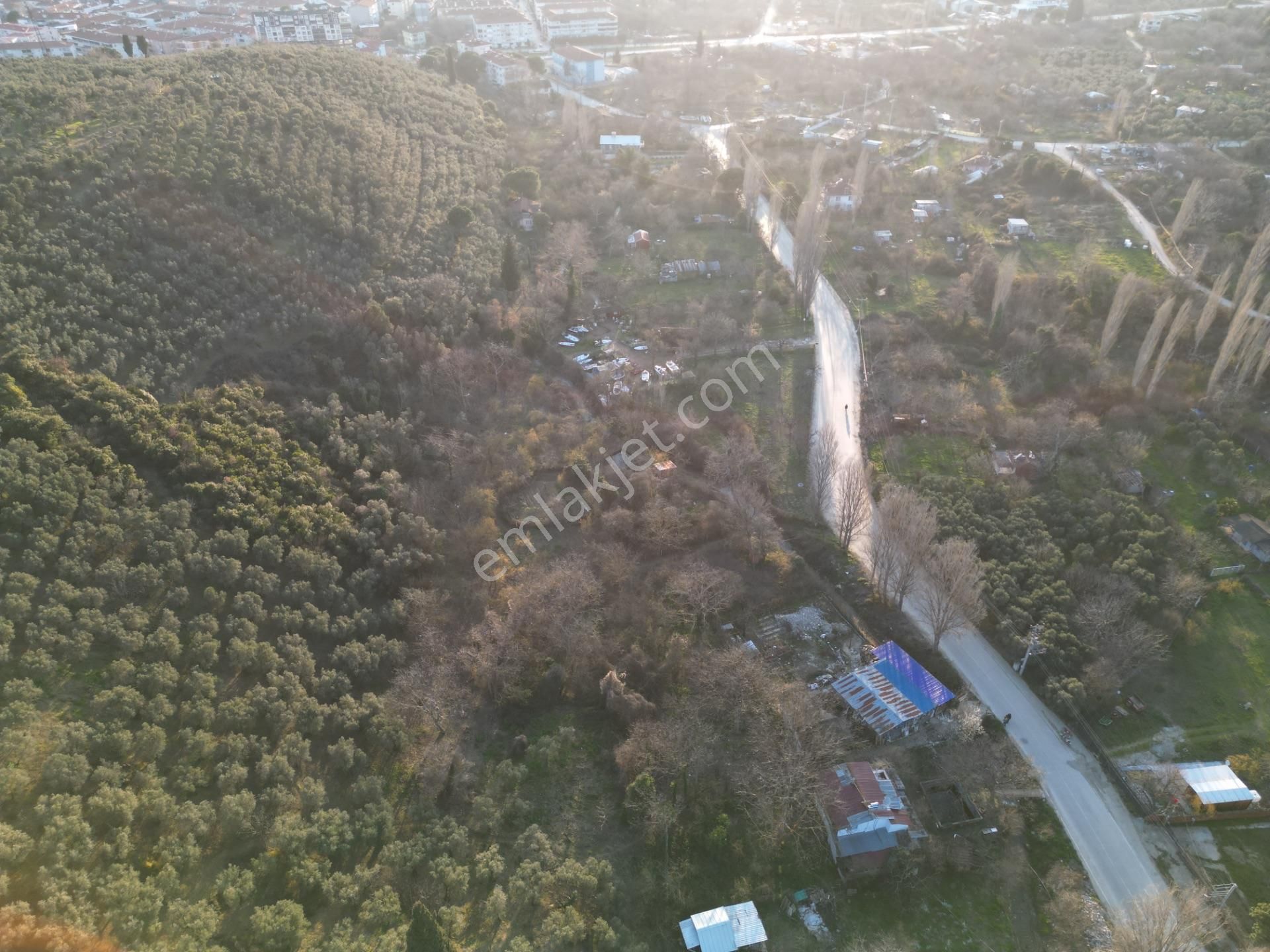 3 Kat İmarlı Köy Yolunda Konak Emlak'tan 1191 M2 İmarlı Arsa - Görsel 6