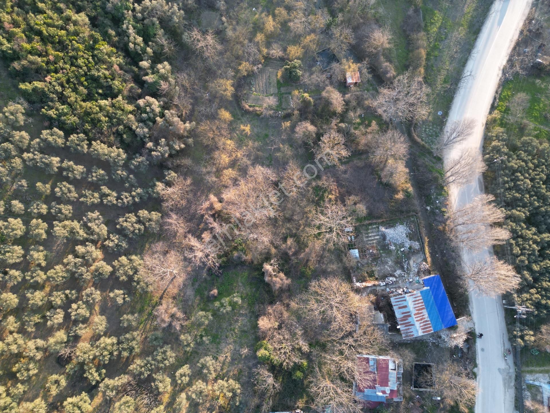 3 Kat İmarlı Köy Yolunda Konak Emlak'tan 1191 M2 İmarlı Arsa - Görsel 4