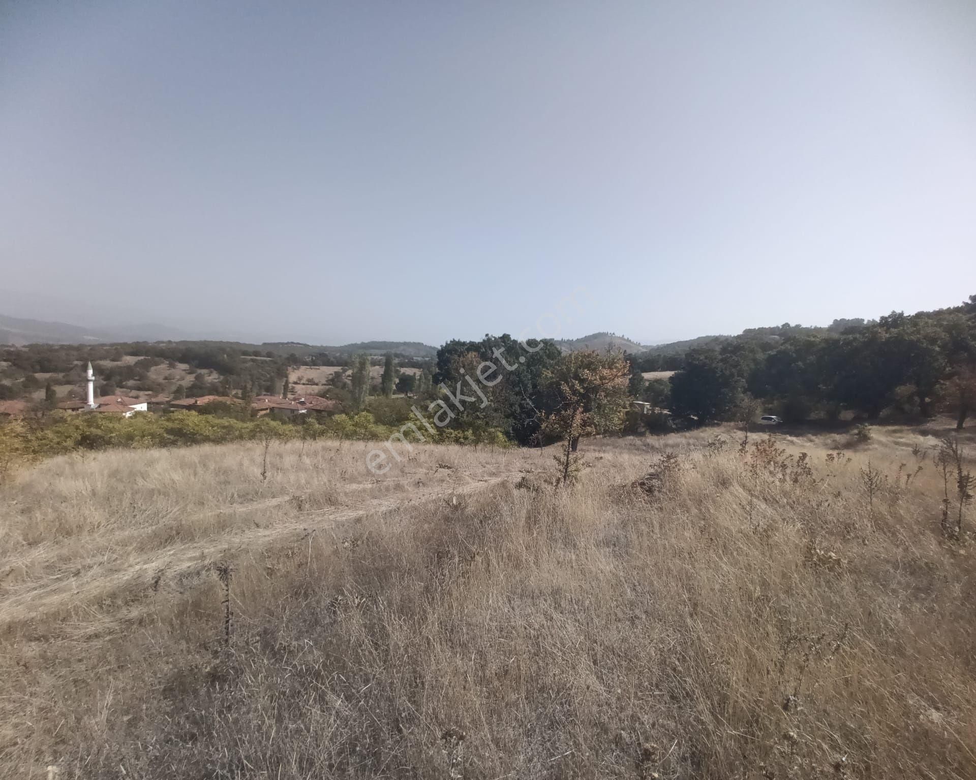 3180 M² Köyiçi Arsa