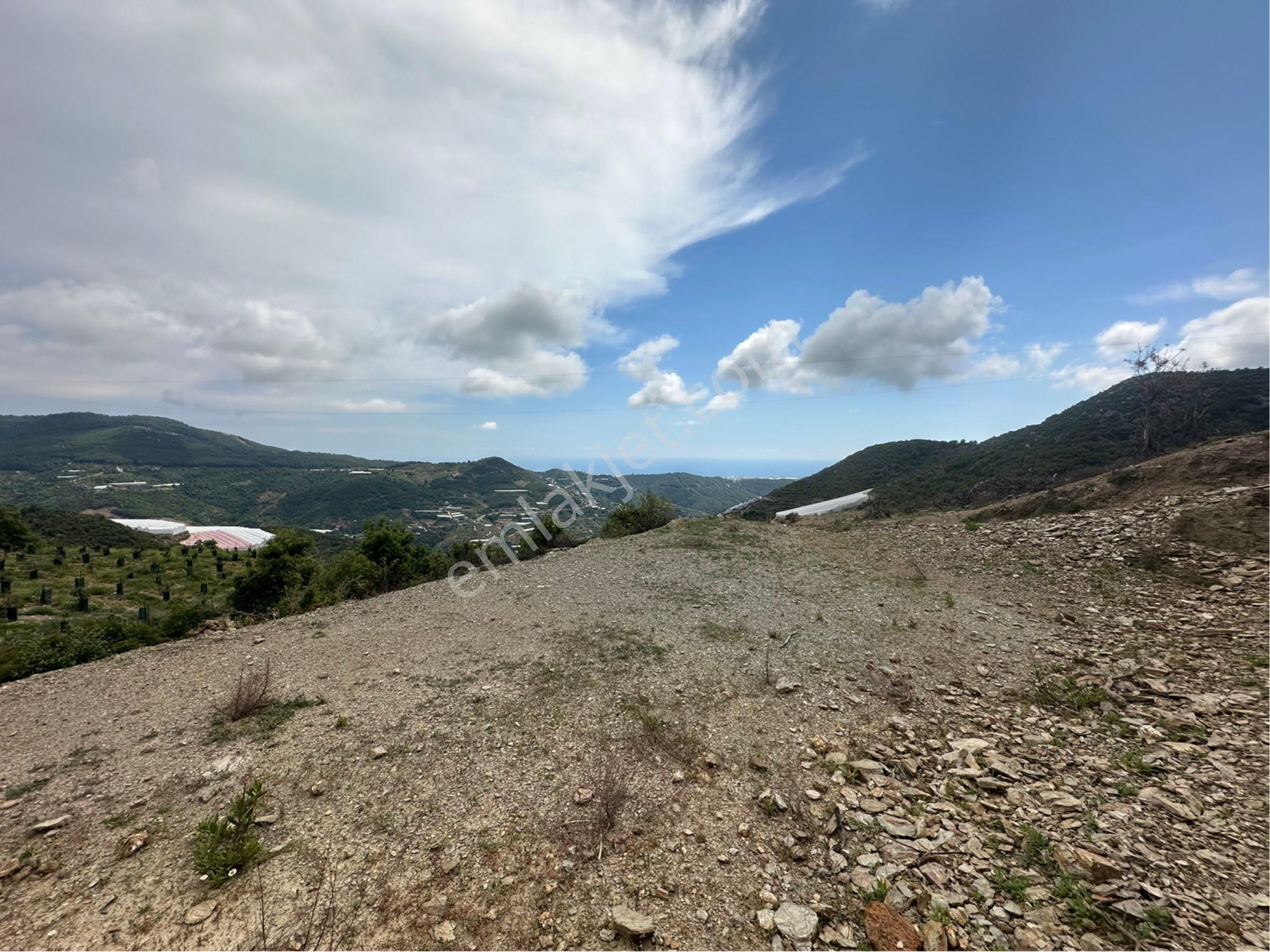 Alanya Güney Mah. Full Deniz Manzaralı Satılık 1286 M2 Tarla