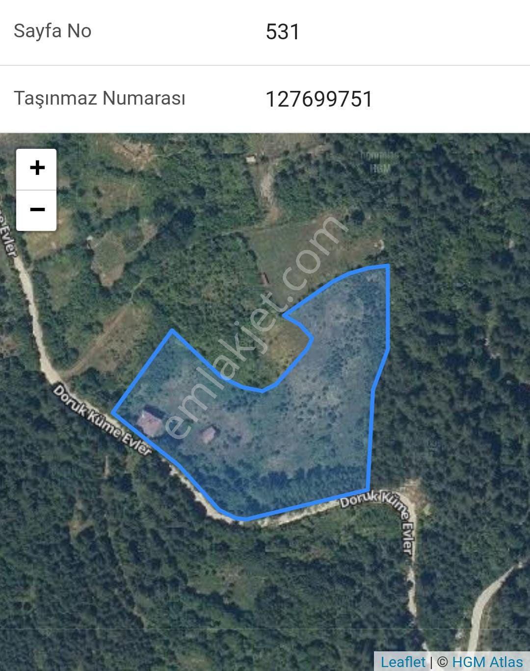 İki Katlı Ahşap Ev Ve Samanlık Ve Tarla