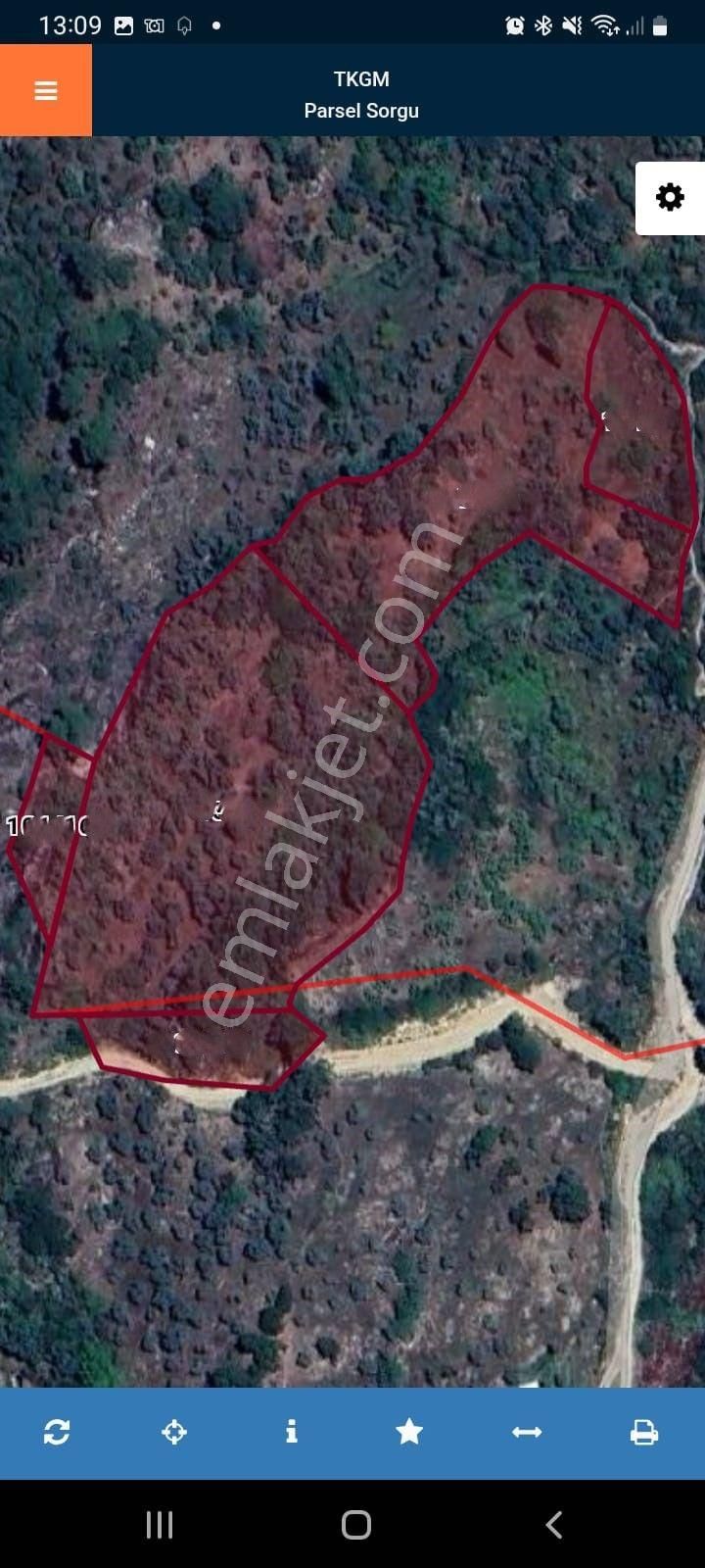 Kristal Ege'den Karpuzlu 15.460 M2 Zeytinlik