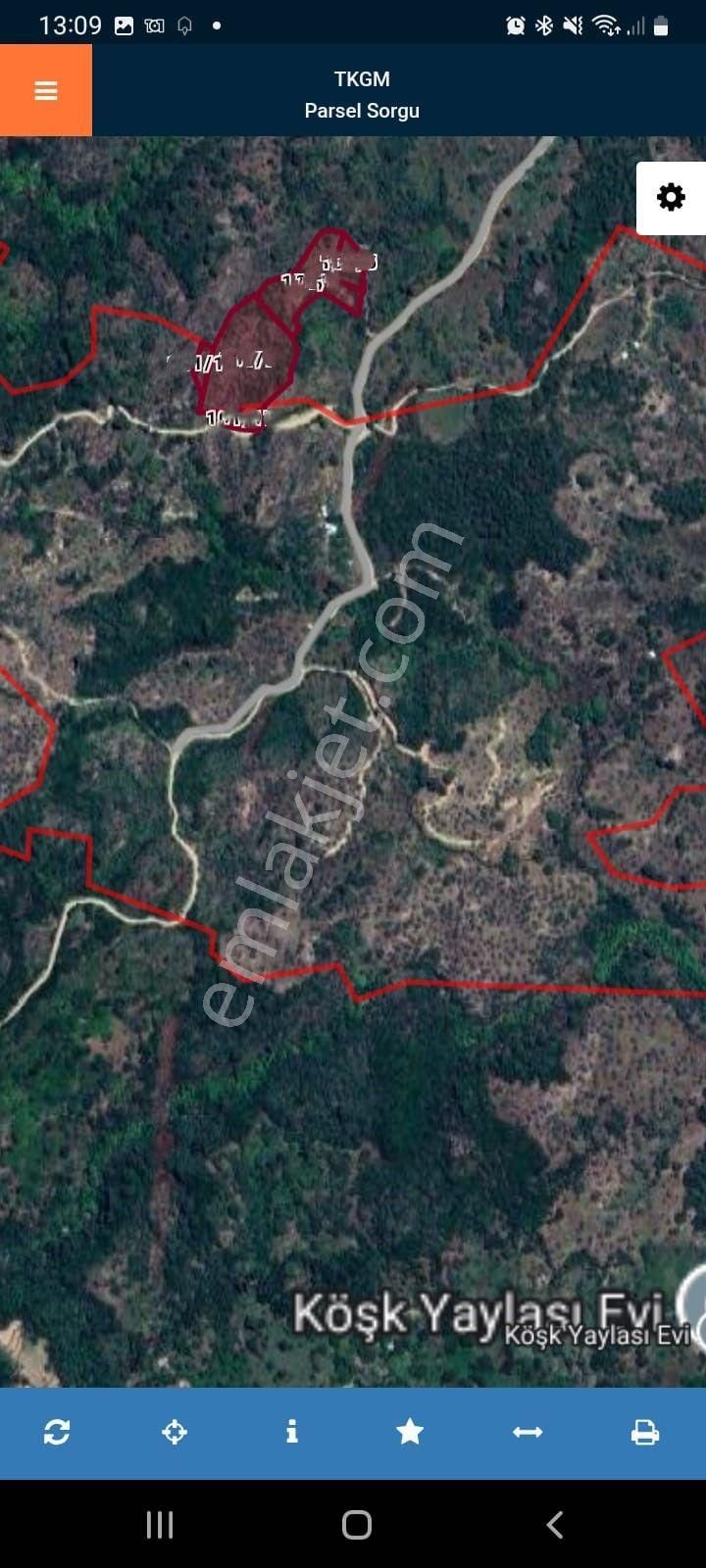 Aydın Karpuzlu'da 15.460 M2 Zeytinlik - Görsel 2