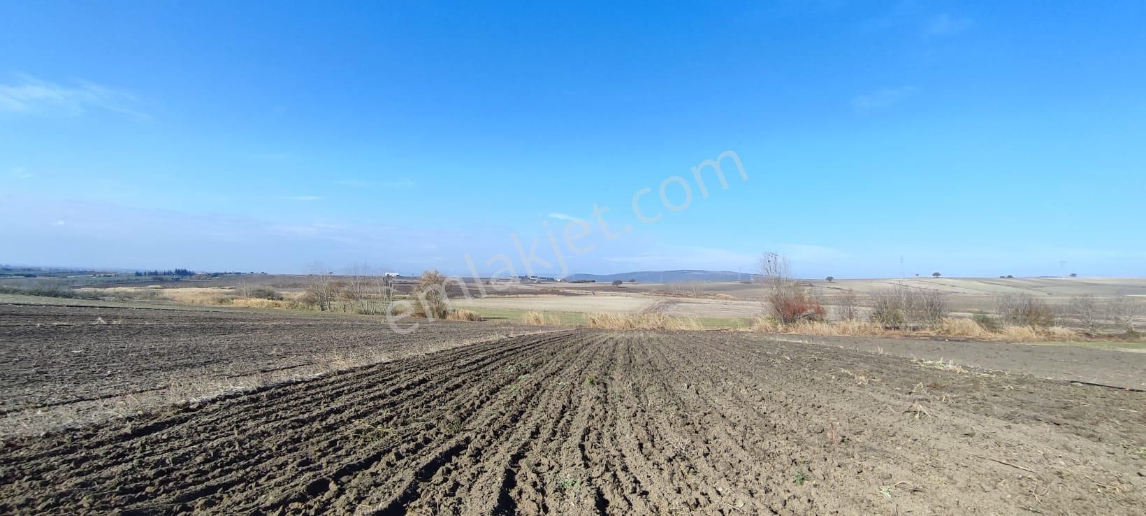 Bursa Karacabey Karakoca’da Satılık Tarlalar - Görsel 3