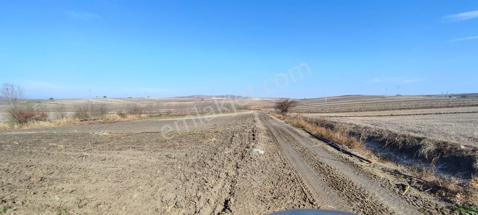 Bursa Karacabey Karakoca’da Satılık Tarlalar - Görsel 2