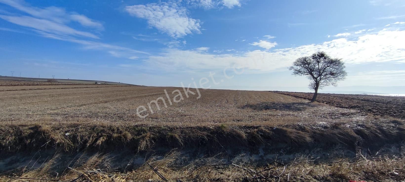 Bursa Karacabey Karakoca’da Satılık Tarlalar - Görsel 5