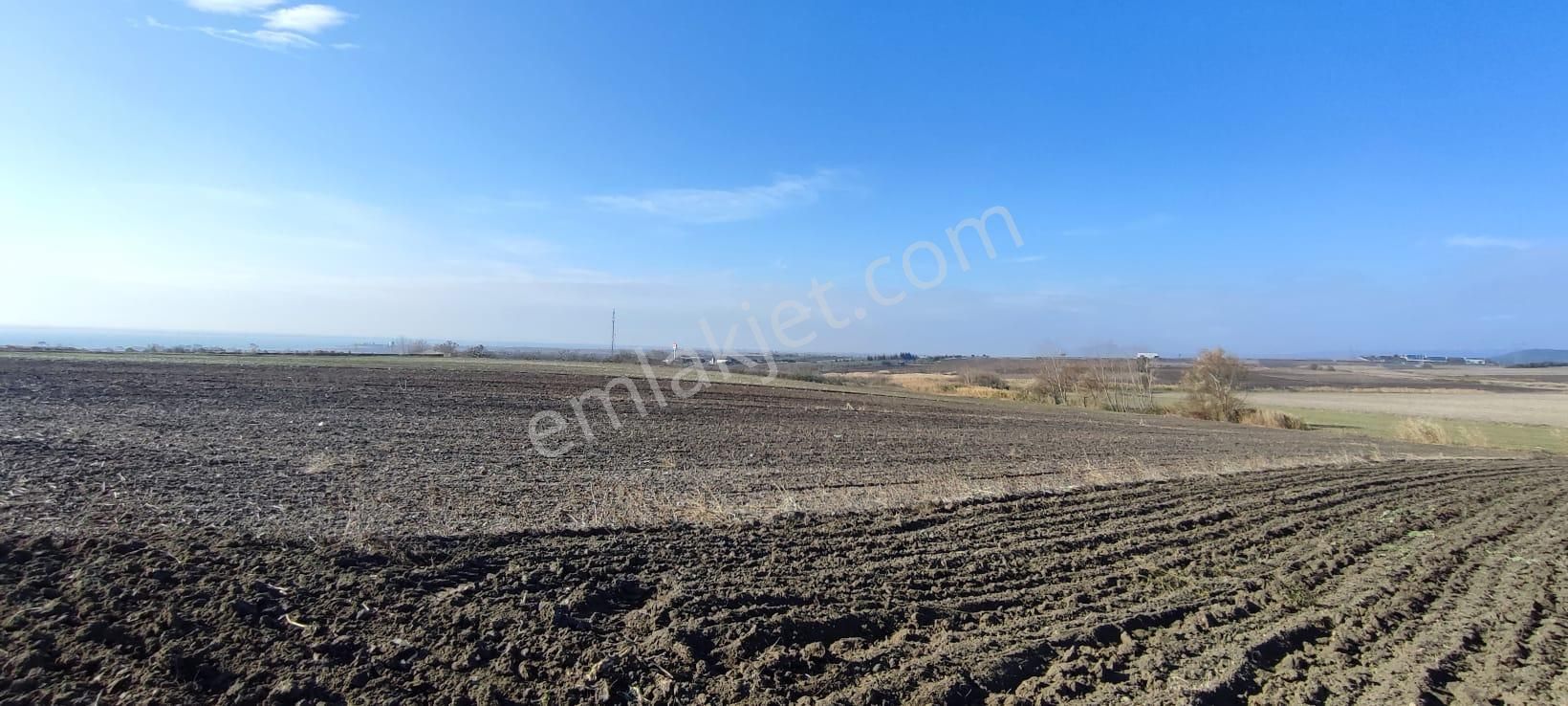 Bursa Karacabey Karakoca’da Satılık Tarlalar - Görsel 4