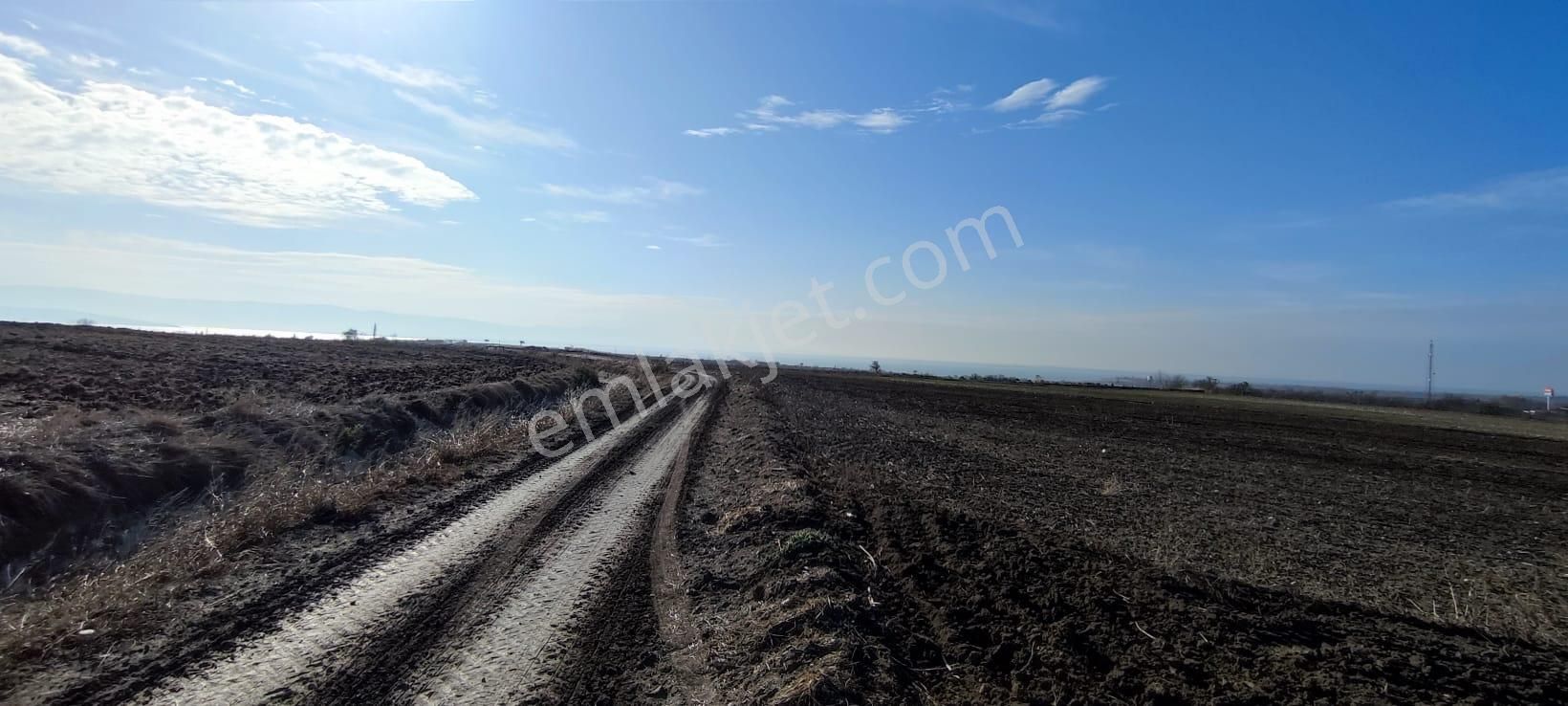 Bursa Karacabey Karakoca’da Satılık Tarlalar - Görsel 9
