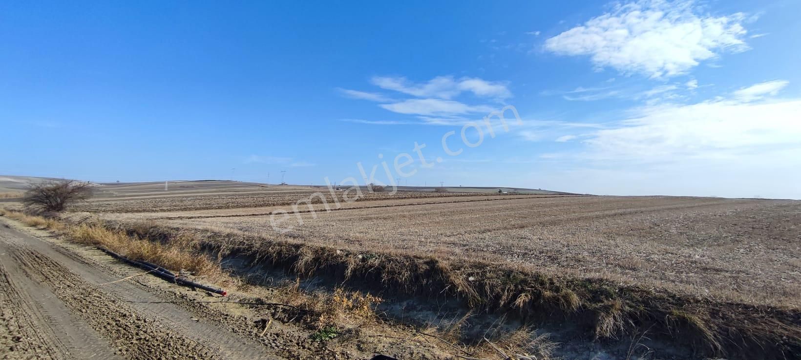 Bursa Karacabey Karakoca’da Satılık Tarlalar - Görsel 7