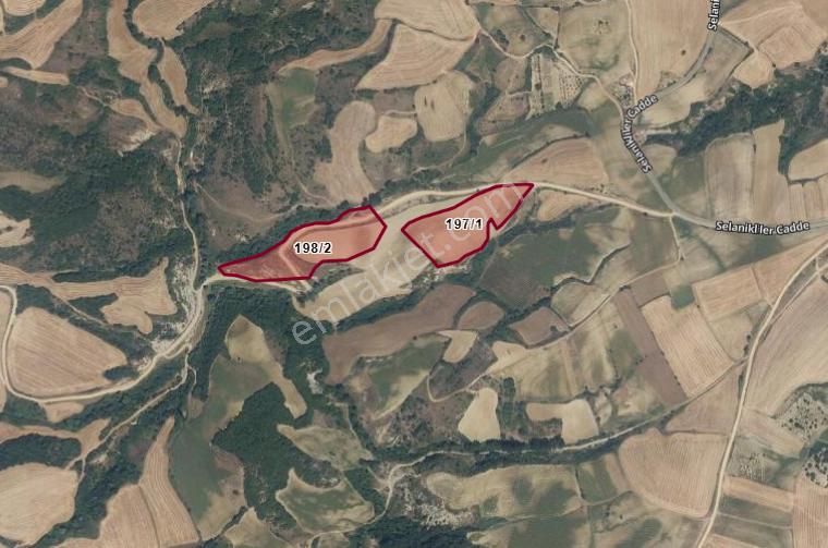 Tekirdağ Süleymanpaşa Işıklar Köyünde Toplam 29.000 M2'lik İki Adet Satılık Tarla