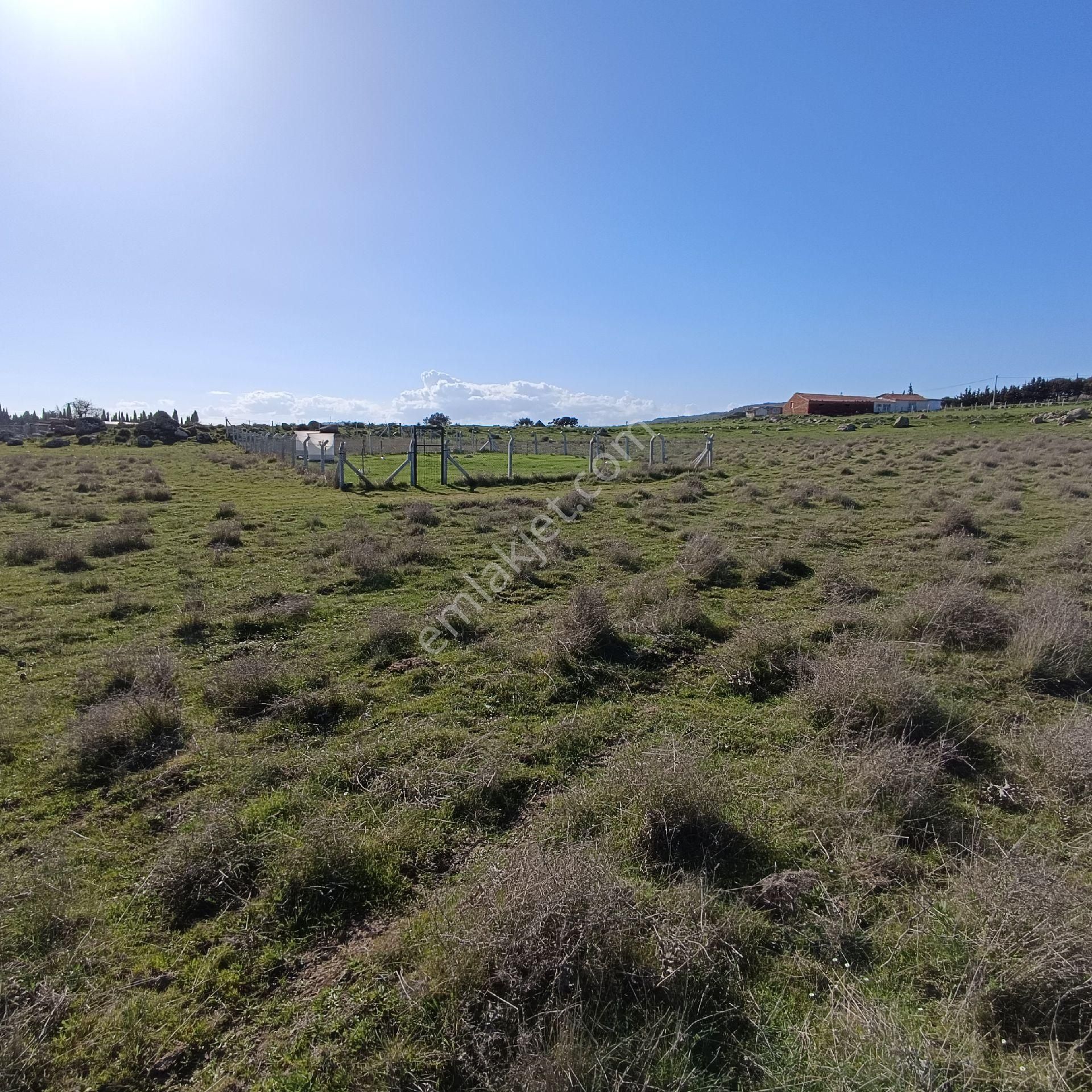 Küçükköy'de 317m2 Müstakil Parsel Arsa