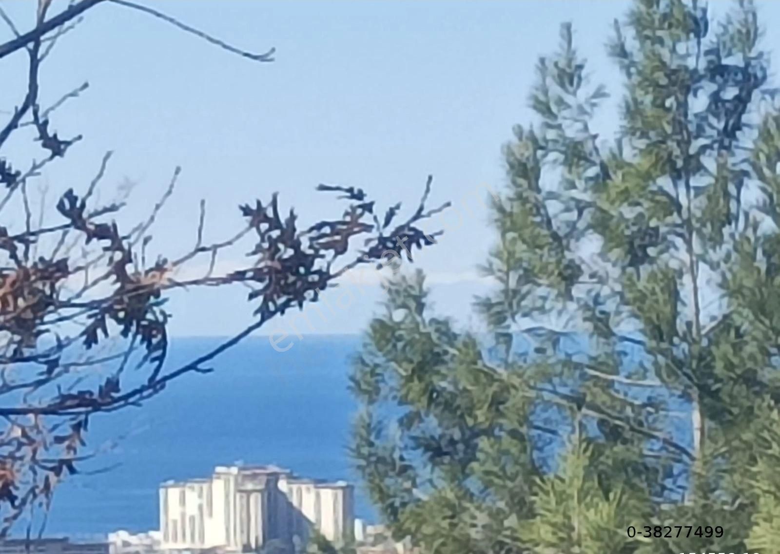 Kargıcak Da Deniz Manzaralı Villa Yapımına Uydun