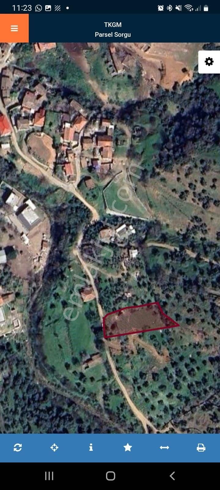 Kristal Ege'den Efeler Şahnalı 1068m2 Ev Ve Zeytinlik