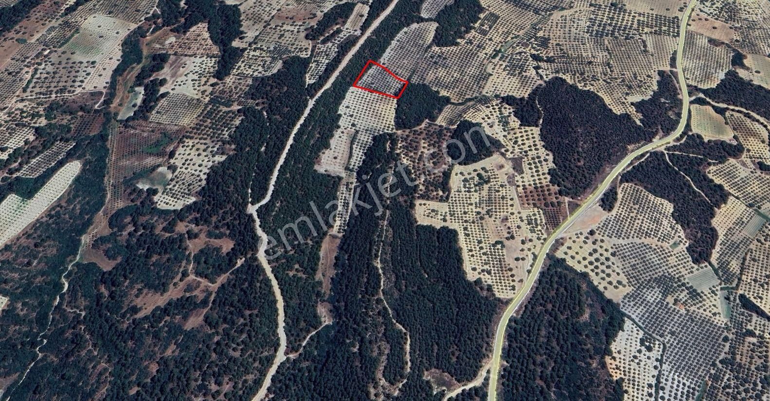 Manisa Gözlet De 5.800 M2 Zeytinlik , 140 Adet Trilye - Görsel 29