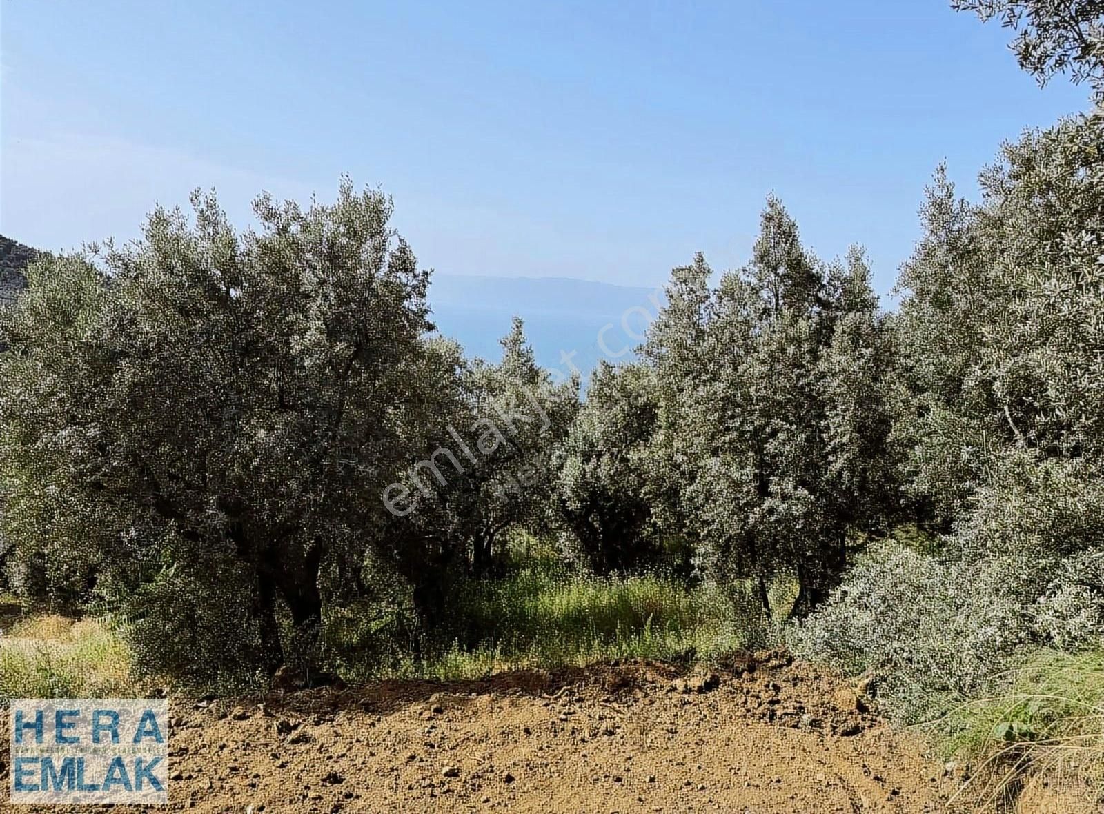 Kelepir Villa İmarlı Arsa Manzaralı, Asfalta Cephe Köşe Parsel - Görsel 15