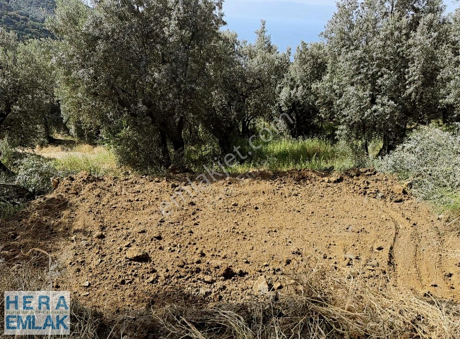 Kelepir Villa İmarlı Arsa Manzaralı, Asfalta Cephe Köşe Parsel - Görsel 10