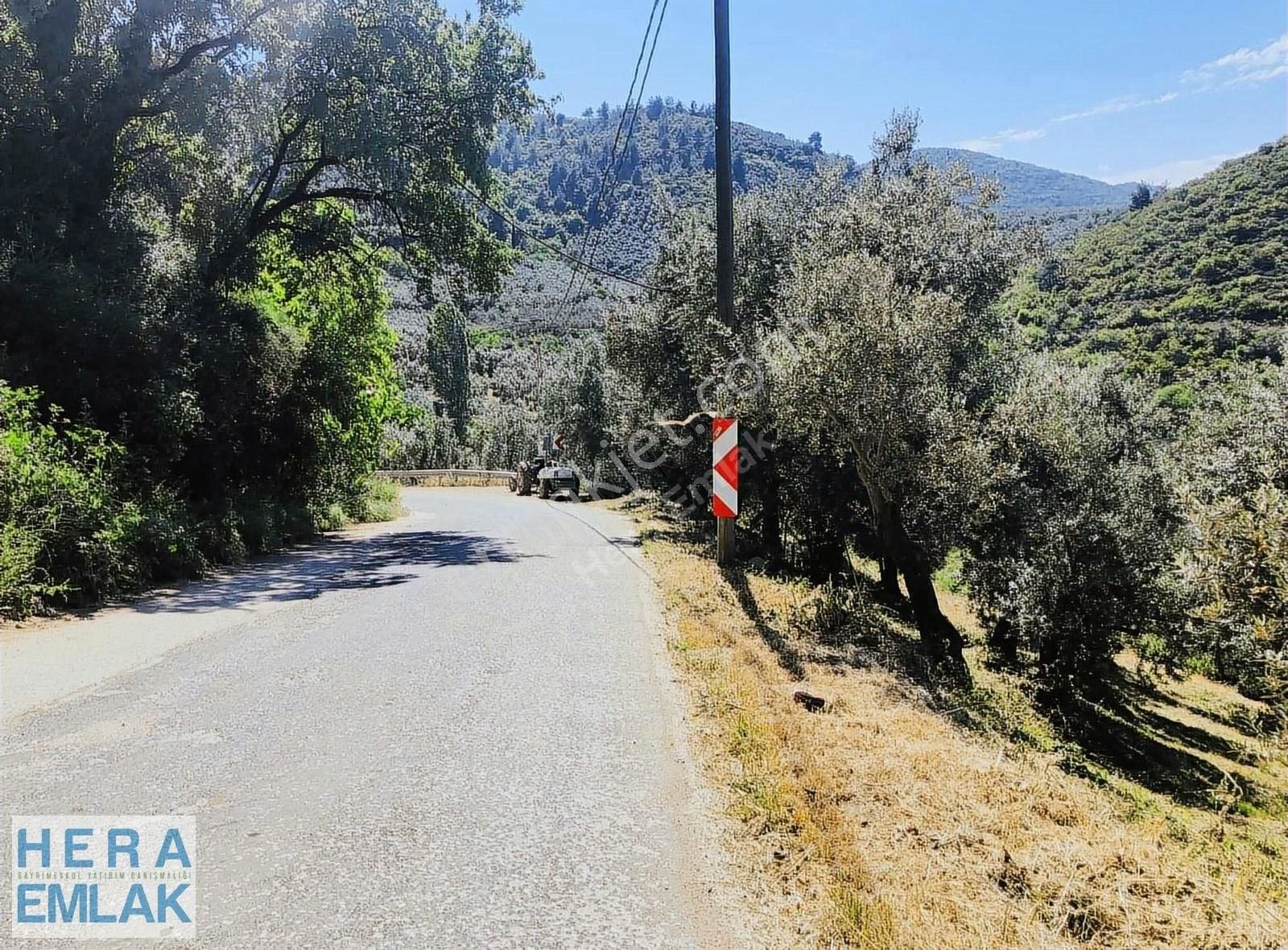 Kelepir Villa İmarlı Arsa Manzaralı, Asfalta Cephe Köşe Parsel - Görsel 12