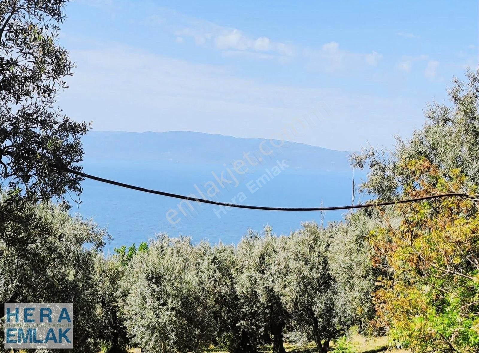 Kelepir Villa İmarlı Arsa Manzaralı, Asfalta Cephe Köşe Parsel - Görsel 6