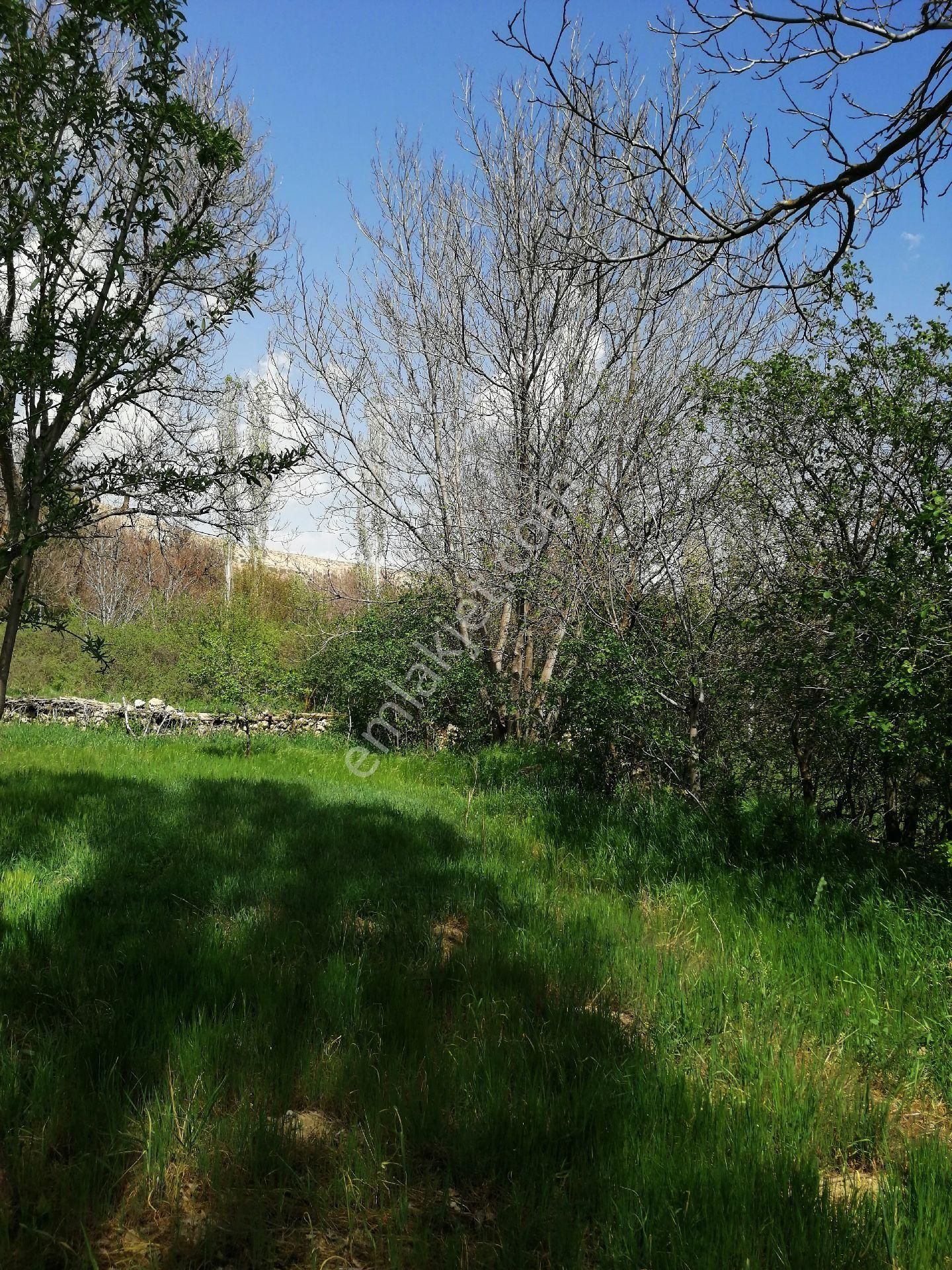 Şehir Emlak Dan Yeşildere Köyünde Satılık Bahçe - Görsel 8