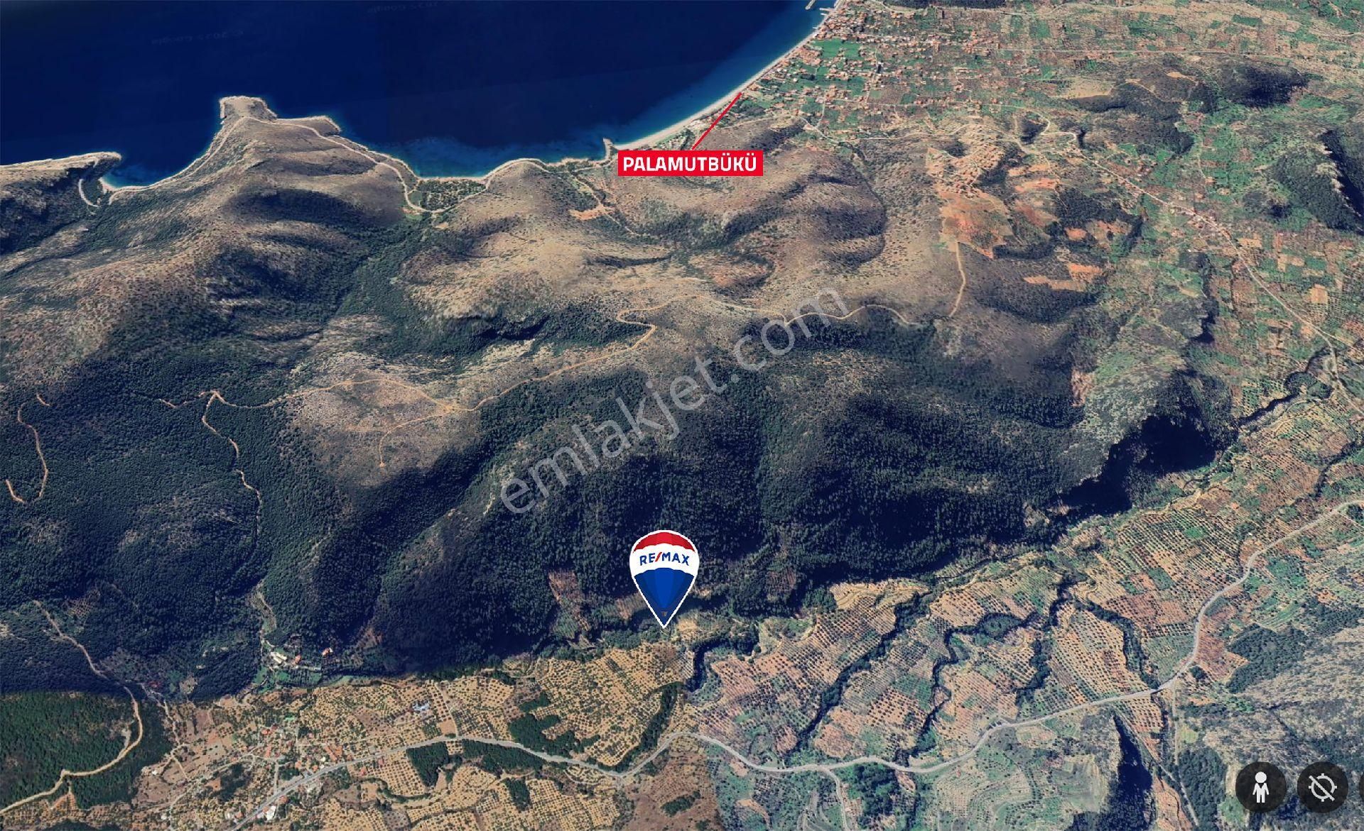 Datça Satılık Arazi Uygun Fiyatlı Sındı Zeytincik'te - Görsel 4