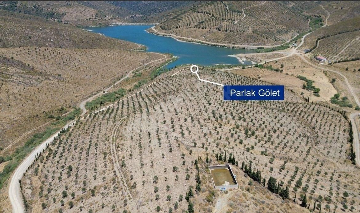 İzmir Karaburun Parlak Mh Satılık 250m2 Köy İçi Bahçe Satılıktır - Görsel 8
