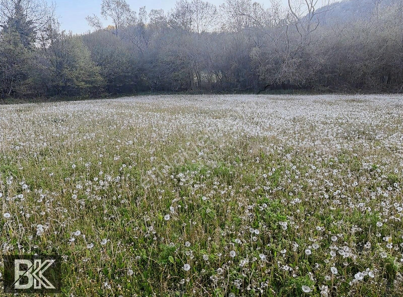 Bilecik Merkez Karaağaç Da Dere Kenarında Bahçe